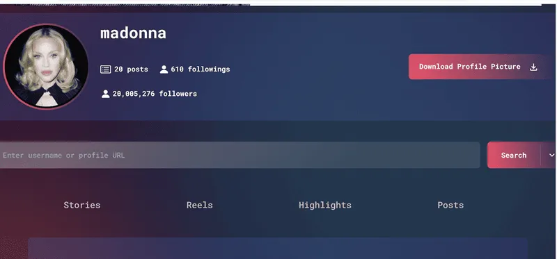 Instagram Viewer Stealthgram: How it works