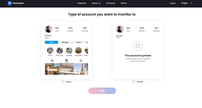 How to use Peekviewer Instagram like viewer: choosing account type How to use Peekviewer Instagram like viewer: choosing account type
