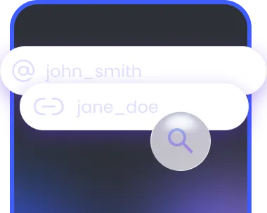 Enter the Instagram username of the account